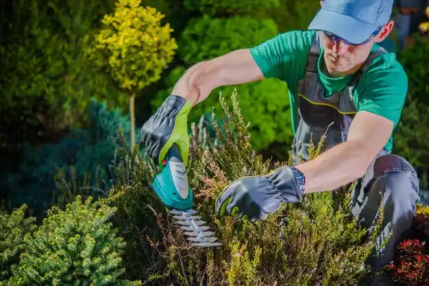 landscaping services Hatley
